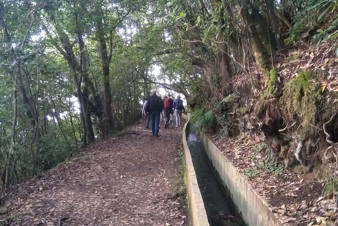 Ribeiro Frio - Portela - Getting there from Funchal without fussing over buses