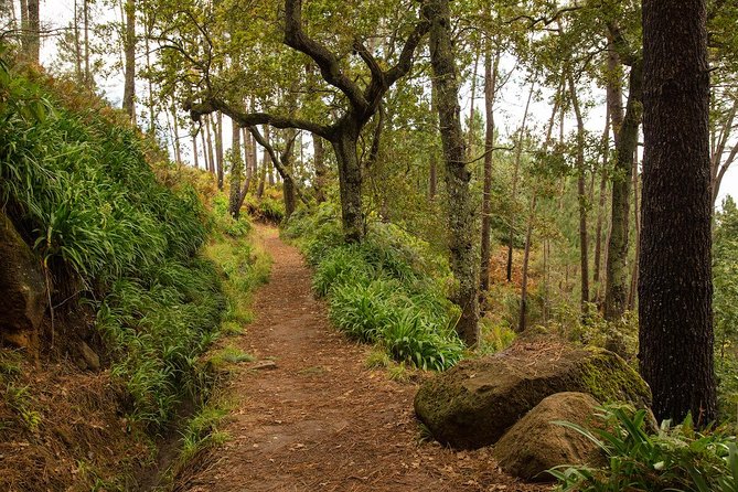 SANTANA Combo Expedition (Jeep & Levada Walk) - Shared Tour - Santana village break: thatched homes and a reset