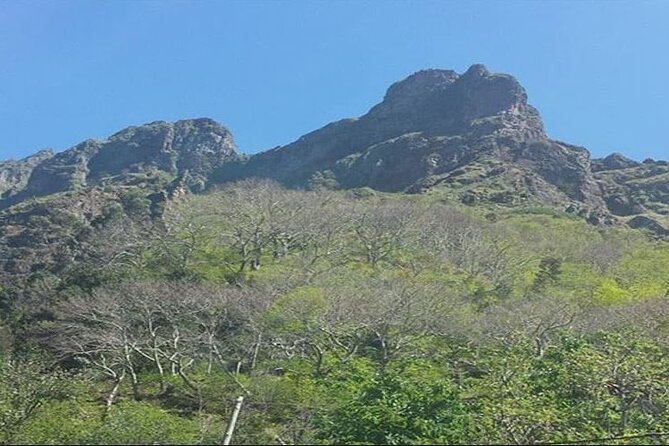 Scenic Route - Nuns Valley Tour - Getting Picked Up in Funchal: Where You Meet the Van and What to Watch For