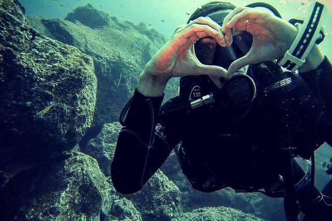 Scuba Diving Experience in Madeira - Price and value: is $50.81 worth it?