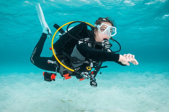 Scuba Diving Experience in Madeira - The 2.5-hour plan: classroom to pool to sea