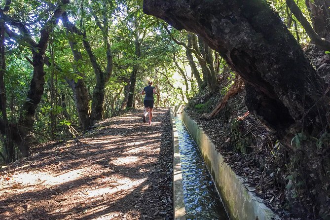 Sea 2 Mountain Running Tour (Moderate-Hard) - Timing, Group Size, and the 4-Hour Reality Check