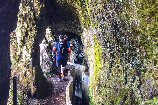 Sea 2 Mountain Running Tour (Moderate-Hard) - Price Value: What $78.27 Buys You in Madeira