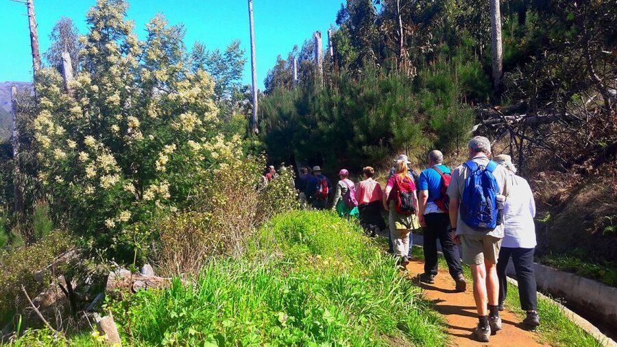 Serra de Água Valley Levada Walk - Key highlights for the Serra de Água Valley Levada Walk