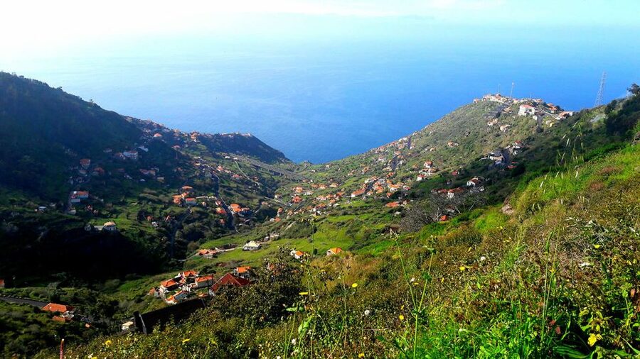 Serra de Água Valley Levada Walk - Flora and fauna spotting: what guides point out, and how to use it