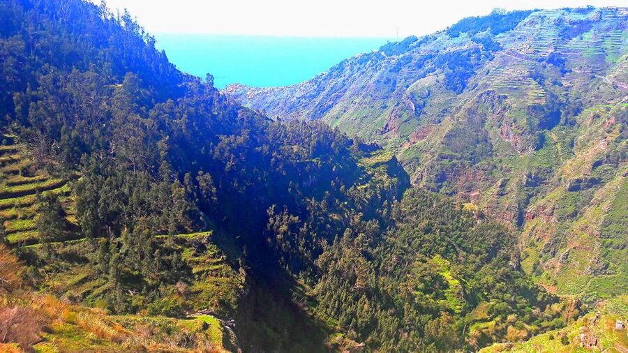 Serra de Água Valley Levada Walk - The end stop: coffee and pastries after you earn it