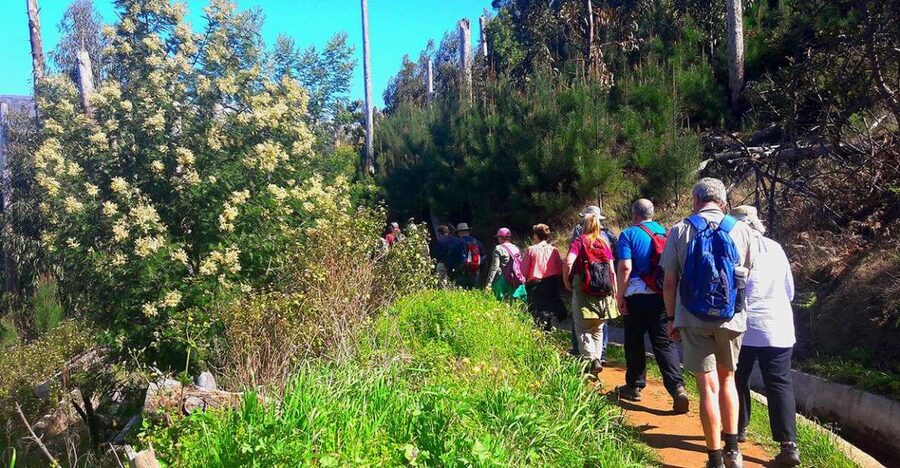Serra de Água Valley Levada Walk - The drive up to the start: what it feels like from Funchal and beyond