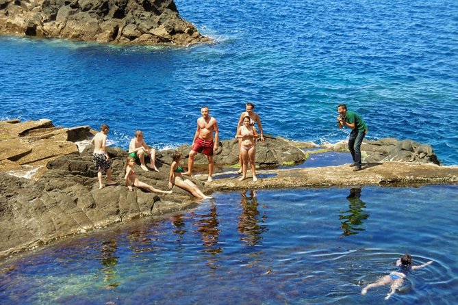 Shore Excursion Porto Moniz - Enchanted Terraces 4x4 tour - Vereda do Fanal: the laurel forest stop you remember