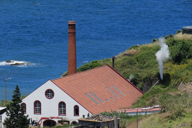 Shore Excursion - Santana & Peaks 4x4 tour - Fortim do Faial and Kartodromo do Faial: unexpected stops that keep the day lively