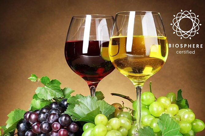 Signature Wine Tastings, Skywalk, Nature 4x4 Open Roof Expedition - The Open-Roof 4x4 Day That Starts With Sky-High Views