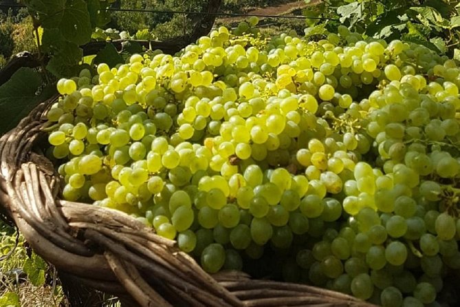 Signature Wine Tastings, Skywalk, Nature 4x4 Open Roof Expedition - Off-Road Driving That Feels Thrilling But Still Organized