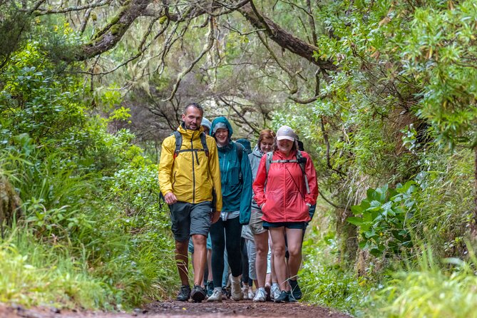Skywalk 4x4 Experience and Rabacal 25 Fountains Levada Walk - Why the 25 Fontes levadas plus Cabo Girão works so well