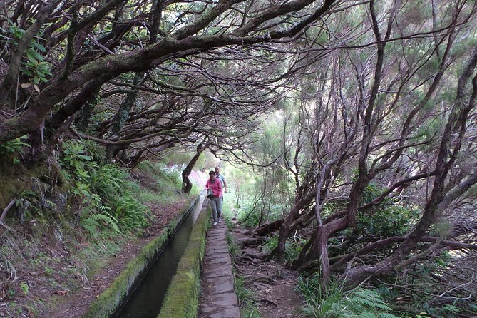 Skywalk 4x4 Experience and Rabacal 25 Fountains Levada Walk - Cabo Girão Skywalk: the cliff that feels way taller than the map