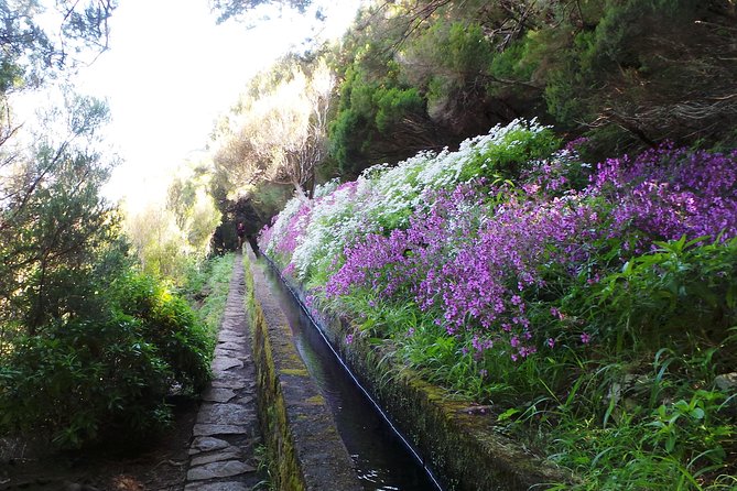 Skywalk 4x4 Experience and Rabacal 25 Fountains Levada Walk - Price and value: what you get for $41 and what costs extra