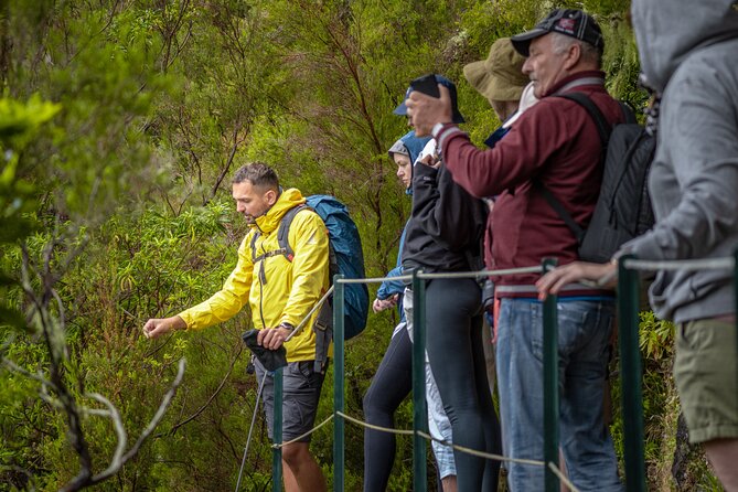 Skywalk 4x4 Experience and Rabacal 25 Fountains Levada Walk - Getting from Funchal to Rabacal: pickup, start time, and how the day flows