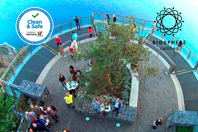 Skywalk, Amazing Views & Wine Tasting in Open Roof 4x4 Adventure - Poncha and Madeira wine tasting: local flavor in the middle of the adventure