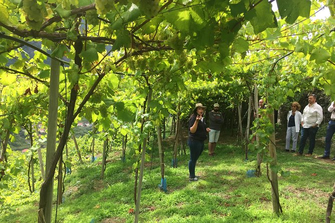 Skywalk with Wines Tasting and Vineyards Half day 4x4 Adventure - Cabo Girão skywalk: the 3€ ticket you should budget for