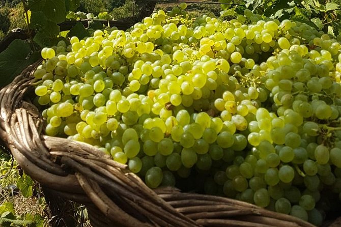 Skywalk with Wines Tasting and Vineyards Half day 4x4 Adventure - Price and value: is $90.70 a smart buy for this mix?