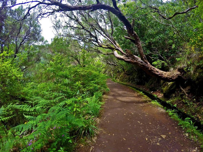 Small Group Walks Rabaçal 25 Fontes - The 25 springs lagoon and waterfall: why this is the main event