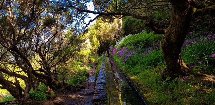 Small Group Walks Rabaçal 25 Fontes - How long is it, really, and what does that mean for your schedule?