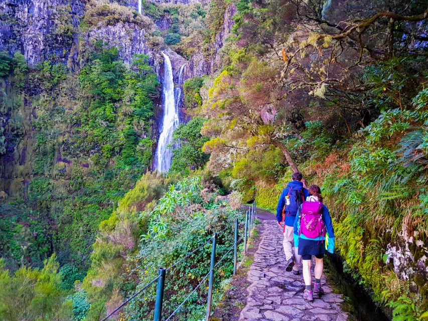 Small Group Walks Rabaçal 25 Fontes - Pickup around Funchal and cruise port, so you start walking sooner