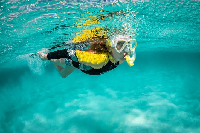 Snorkelling Trip at Ponta de São Lourenço Protected Area - Key highlights I’d plan around