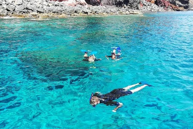 Snorkelling Trip at Ponta de São Lourenço Protected Area - Your safety briefing: how the guides help you snorkel without overthinking it