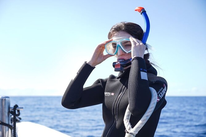 Snorkelling Trip at Ponta de São Lourenço Protected Area - How much wildlife should you expect at Ponta de São Lourenço?
