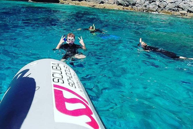 Snorkelling Trip at Ponta de São Lourenço Protected Area - Price and value: is $42.24 a fair deal for this afternoon plan?