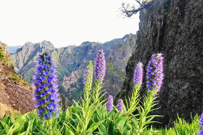 Sunrise Guided Hike PR1 Pico do Areeiro Pico Ruivo small group - Sunrise on Madeira’s Roof Line: Why This Hike Feels Special