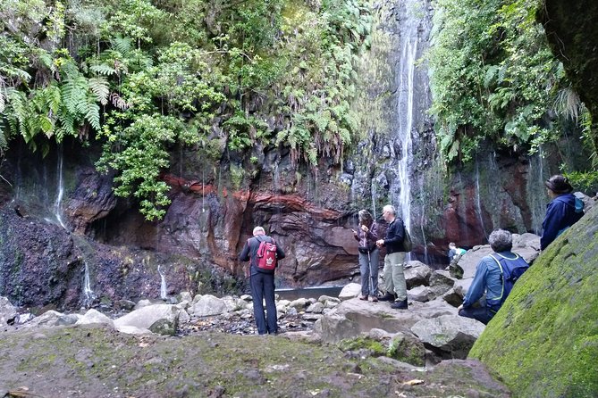The Fantastic Cascades - The quick cascade stops: A good start, and not too heavy