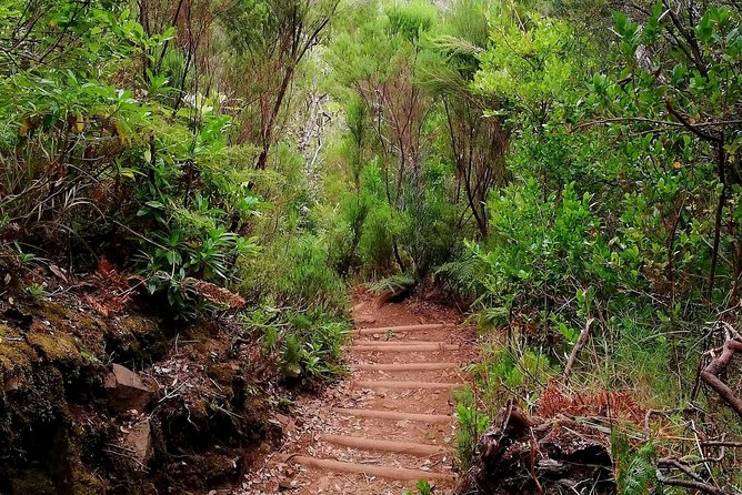 The Lakes Walk - Paul da Serra, that high start where the day feels bigger