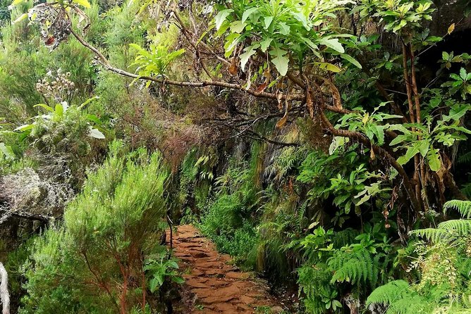 The Lakes Walk - The 10 km distance and 4h30 duration, what it really means for your body