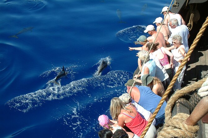 Time Travel on Columbus Replica Flag Ship in Madeira - Wildlife Search for Dolphins and Whales: How to Think About the Odds