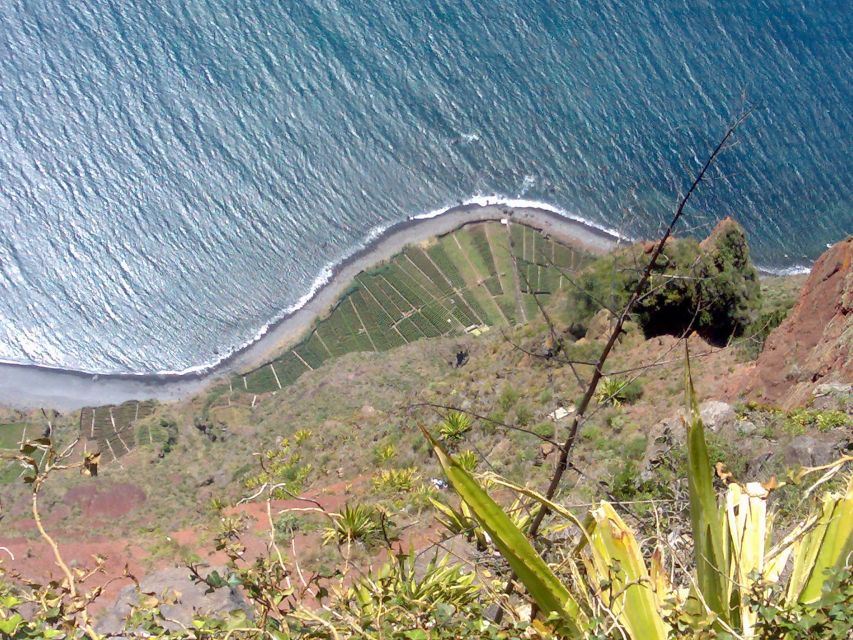 Toboggan Ride & Madeira Wine Tasting Tour - From hotel pickup to Monte, how the 4 hours flow