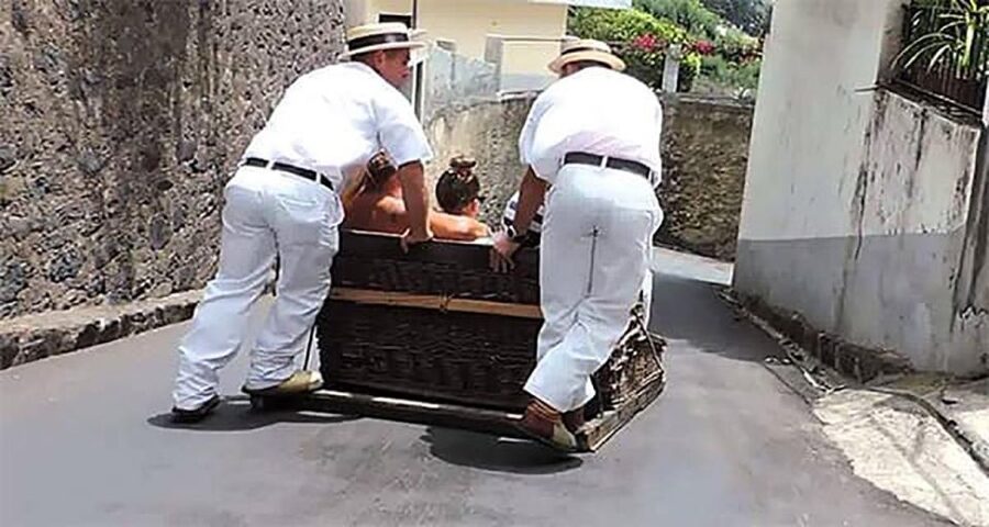 Toboggan Ride & Madeira Wine Tasting Tour - Câmara de Lobos: poncha, monk seals, and the village Winston painted
