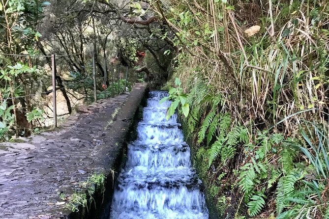 Twenty-Five Fountains Levada walks (private) - The 12 km route, tunnel crossing, and your footwear reality check