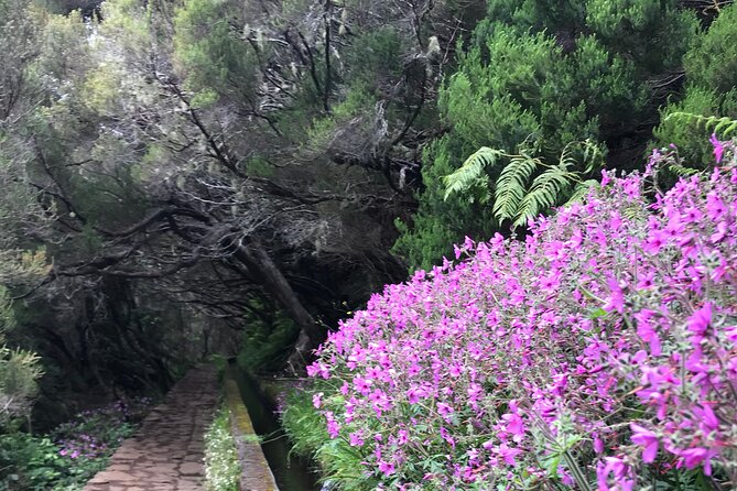 Twenty-Five Fountains Levada walks (private) - Price, value, and how to decide if $90.31 is the right fit