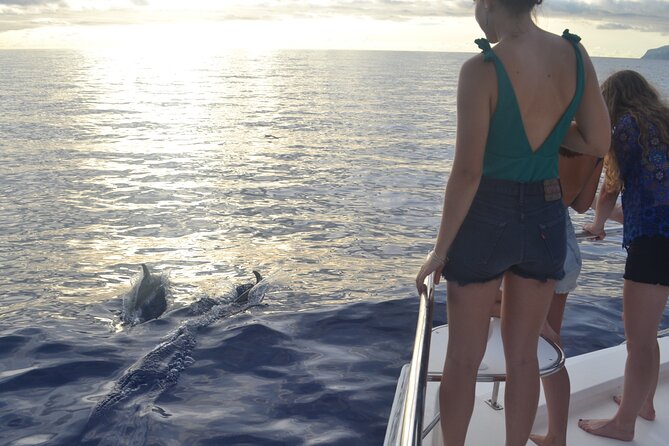 VipDolphins Luxury Whale Watching - The Cabo Girao swim and snorkeling break you’ll talk about later