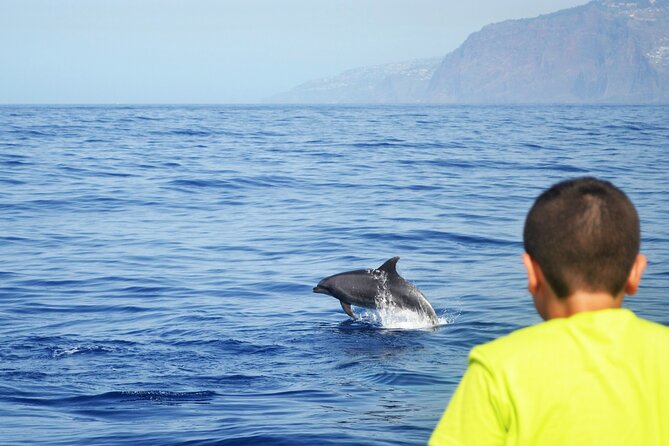 VipDolphins Luxury Whale Watching - Snacks, drinks, desserts, and why it feels worth $95-ish