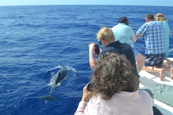 VipDolphins Luxury Whale Watching - Comfort details that make a real difference at sea