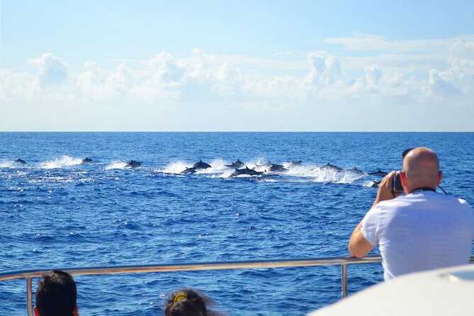 VipDolphins Luxury Whale Watching - Price and value: what you’re getting for $95.53