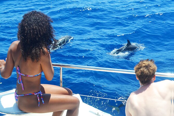 VipDolphins Luxury Whale Watching - Where you meet in Funchal, and the 3-hour rhythm