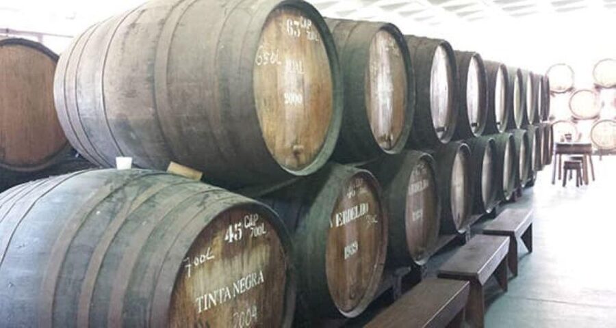 Visiting local Vineyard With Wine Tasting & Lunch included - Seixal After Lunch: North Coast Views and Laurel Forest Top-End