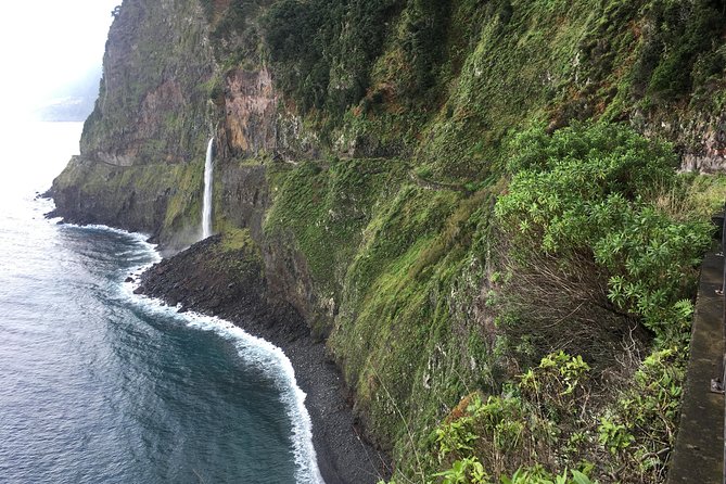 West Madeira 4x4 Tour with Local Guide - Stop 2: Fanal Forest at Posto Florestal Fanal