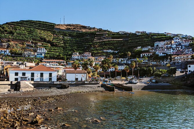 West Madeira Island Guided Tour & Fanal Mystic Forest - Câmara de Lobos: Fishing Village Vibes and Poncha