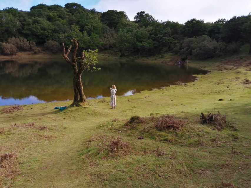West Madeira:, Laurel Forest, Waterfall, Rock Pools, Walk - A West Madeira Loop That Actually Feels Efficient