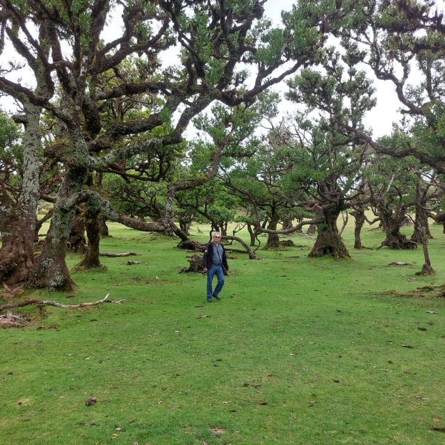 West Madeira:, Laurel Forest, Waterfall, Rock Pools, Walk - Porto Moniz Volcanic Rock Pools: Swim Optional, Views Not