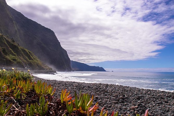 West Tour-Fanal Forest & Porto Moniz Natural Pools Small Groups - Stop 2: Ribeira Brava Farmers Market and the Northward Climb