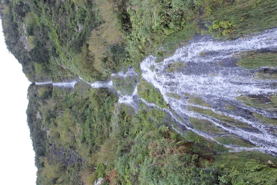 West Tour Full day 4x4 Jipe Tour Natural Swimming Pools - Who the Guides Are and Why Their Style Changes Your Day